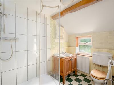 Picture 8
